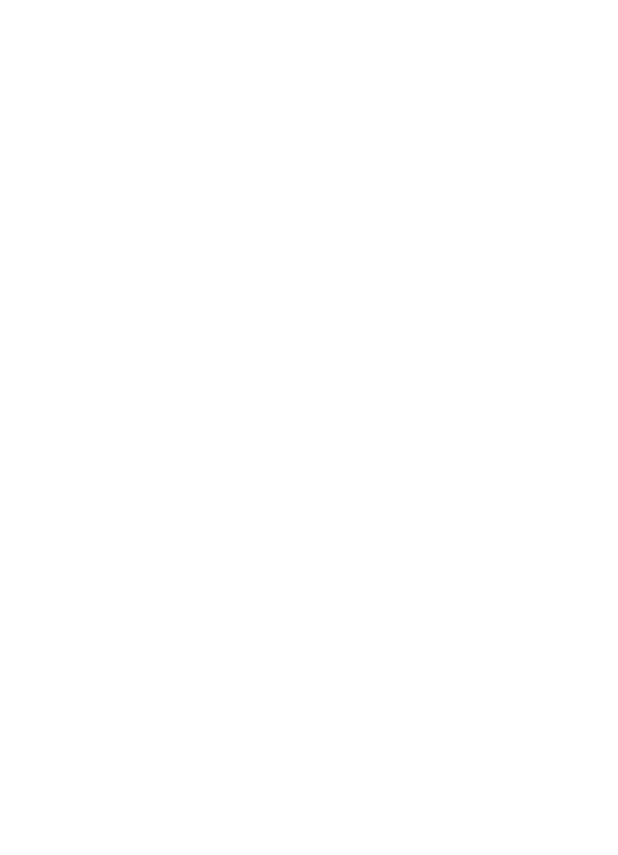 STEVENS INSTITUTE OF TECHNOLOGY