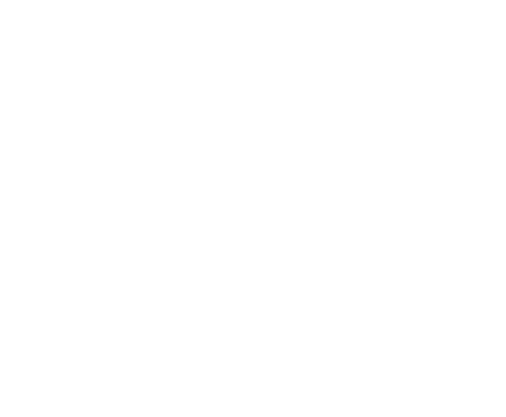 TEXAS A&M UNIVERSITY